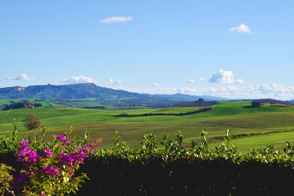 Agriturismo San Francesco Amalia And Anna Orciatico エクステリア 写真