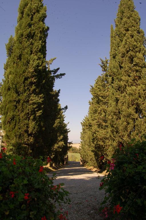 Agriturismo San Francesco Amalia And Anna Orciatico エクステリア 写真
