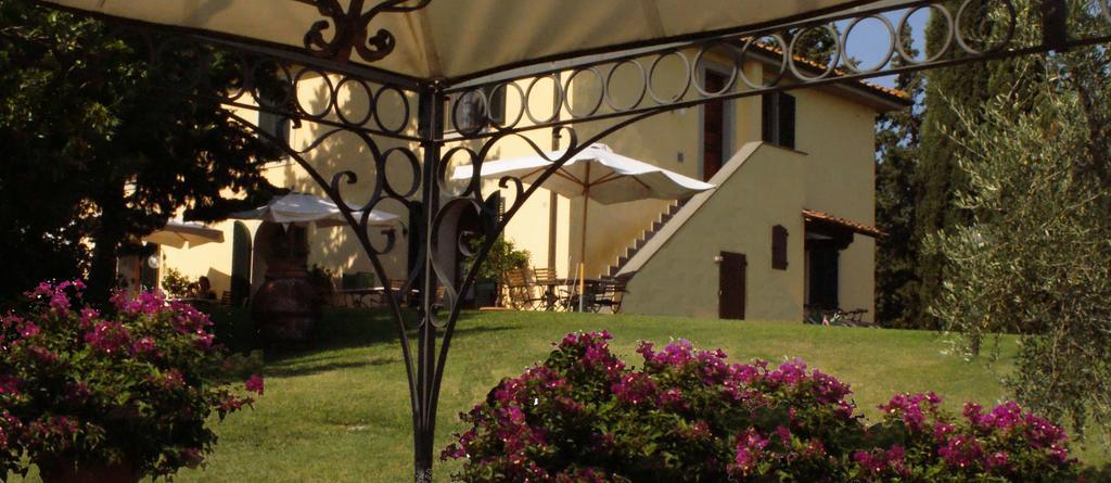 Agriturismo San Francesco Amalia And Anna Orciatico エクステリア 写真